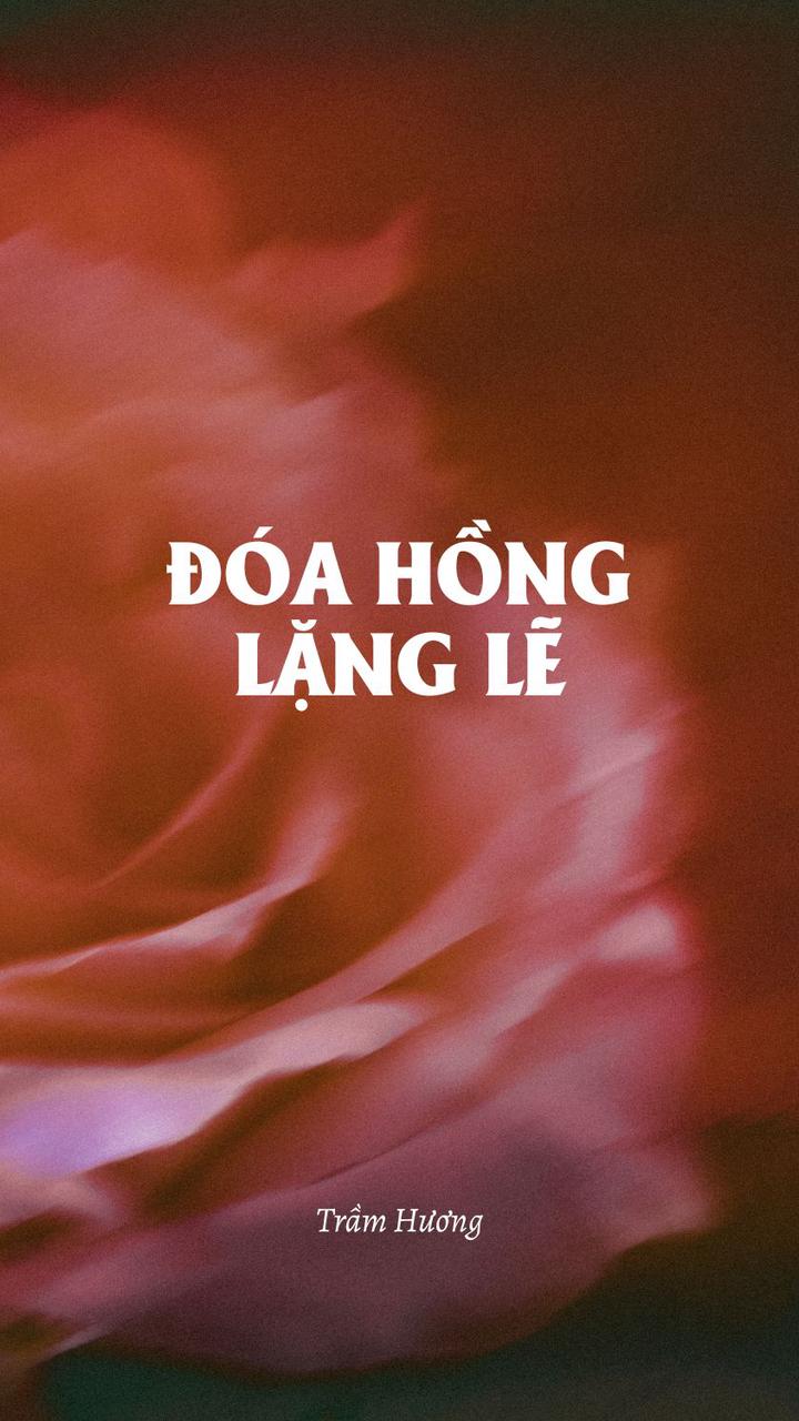 Đóa Hồng Lặng Lẽ 