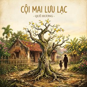 Cội mai lưu lạc